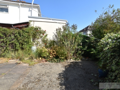 Picture 12